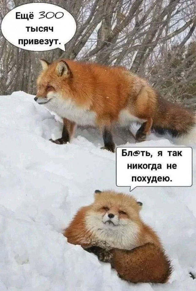 80% жителей Киева без воды