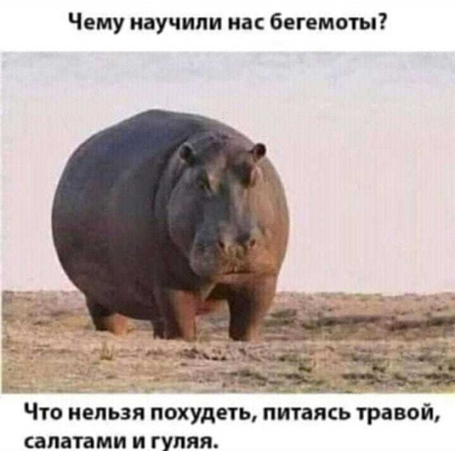 Это значит, что сегодня пятница