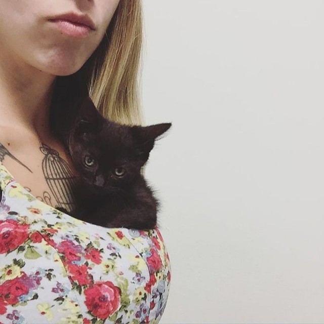 Она спасает котят