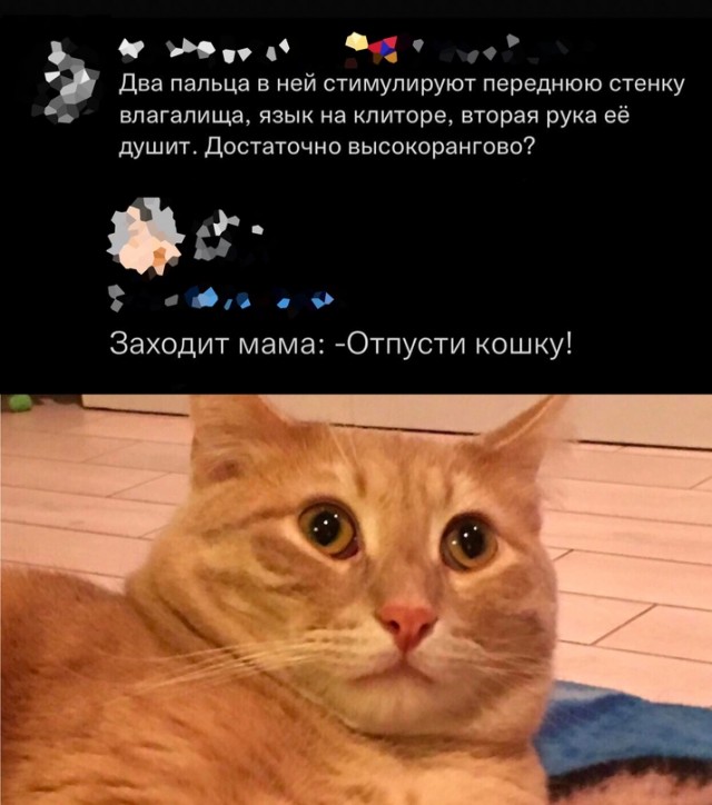 Весёлый полтишок 25.01.23