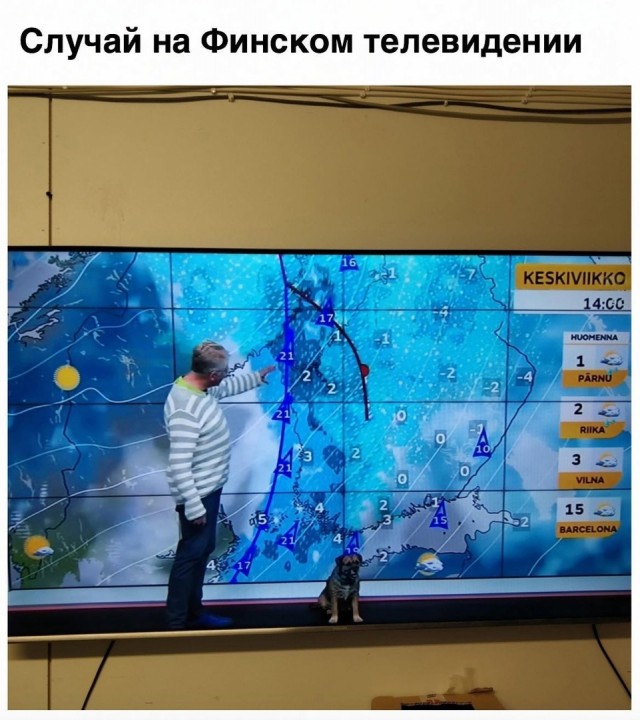 Так себе картинки 26.01.23