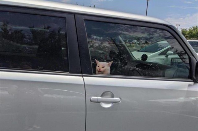 Хороший стикер⁠⁠