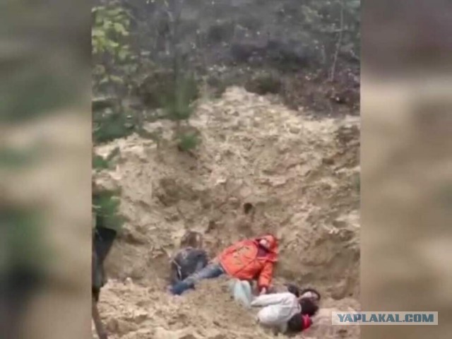 Похоже, на банковую привезли забористый кокс, Данилов первый проверил партию