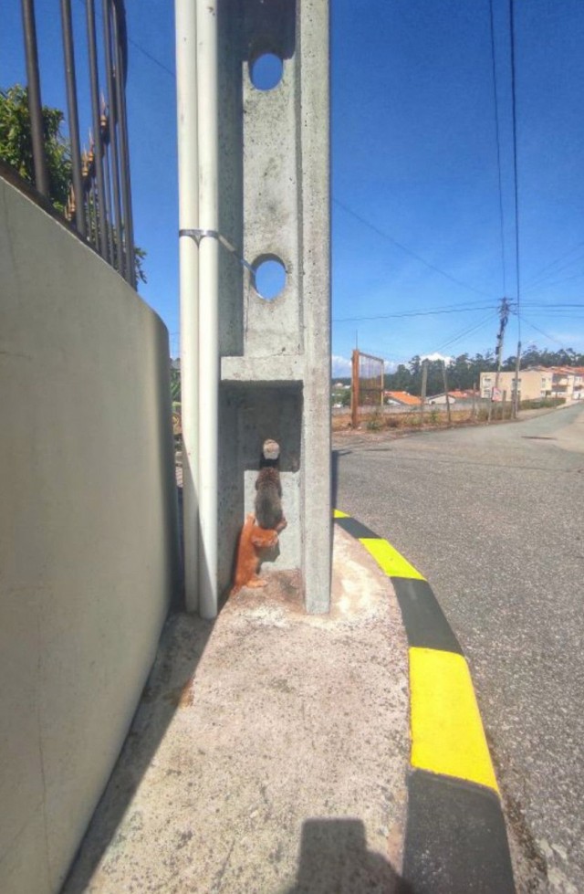 Брат, подсади