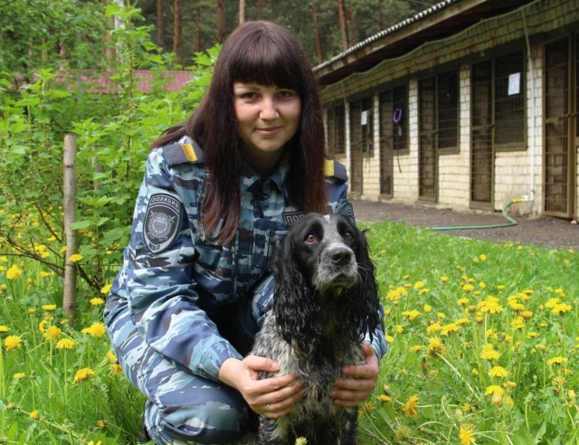 Подборка служебных собак