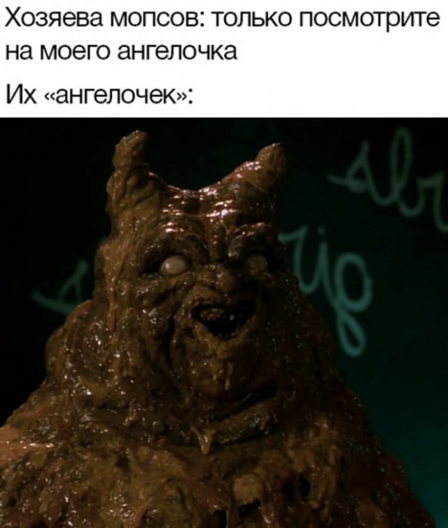 Картинки и мемы, это май-чародей всяко разно - 177