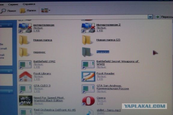 Такие милые трансики.