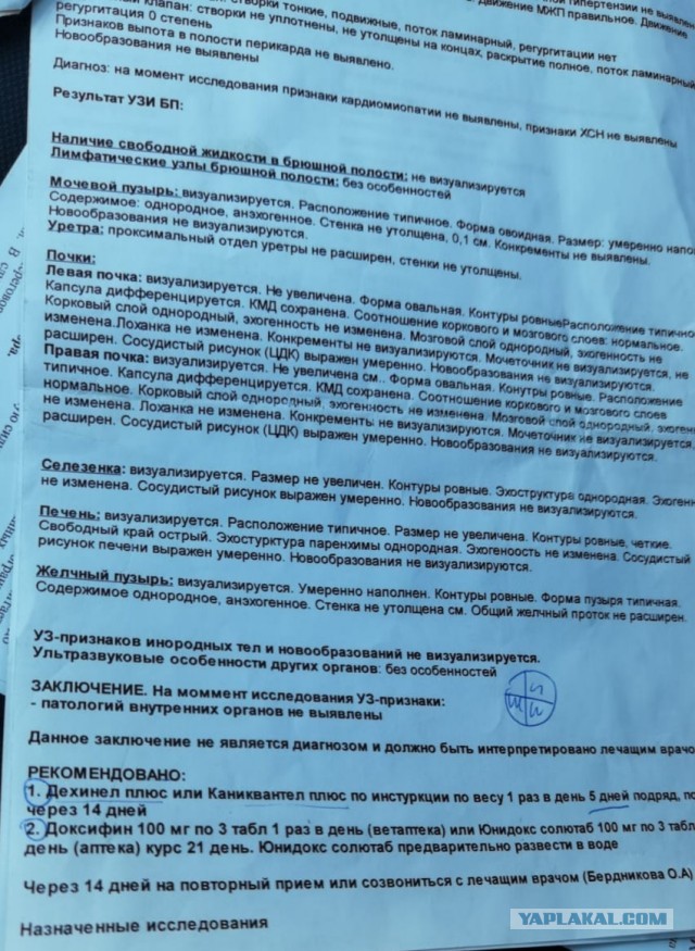 Требуется помощь ветеринара или знающих людей. Задыхается собака