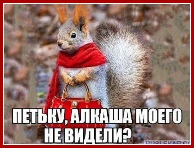 А где Аня?