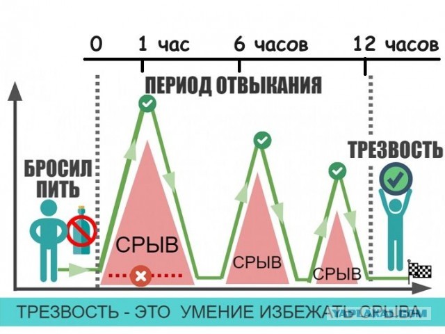 Непьющие