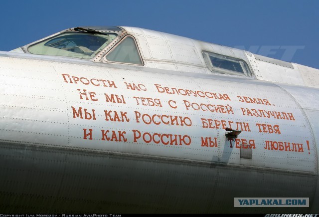 Тополя вернулись домой