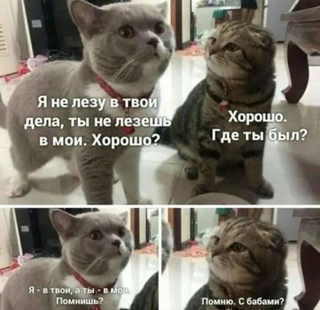 Завалялось тут случайно немного забавных картинок