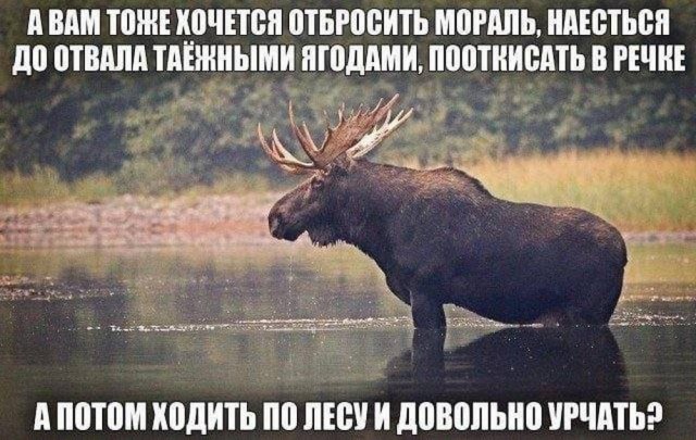 Прикольные и просто красивые картинки 28.06.2024