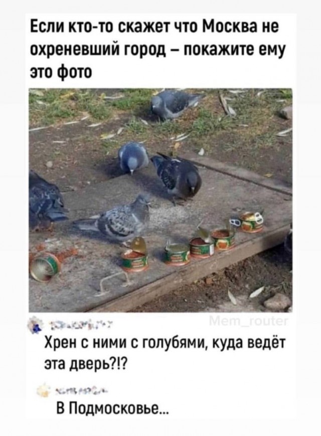 Всего понемногу. От 26.07.24
