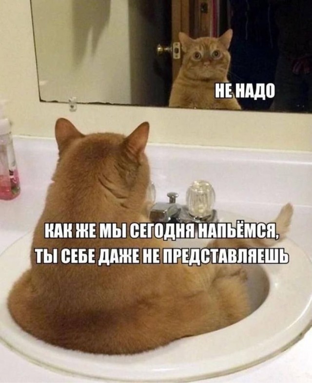 Быстрая дэградация