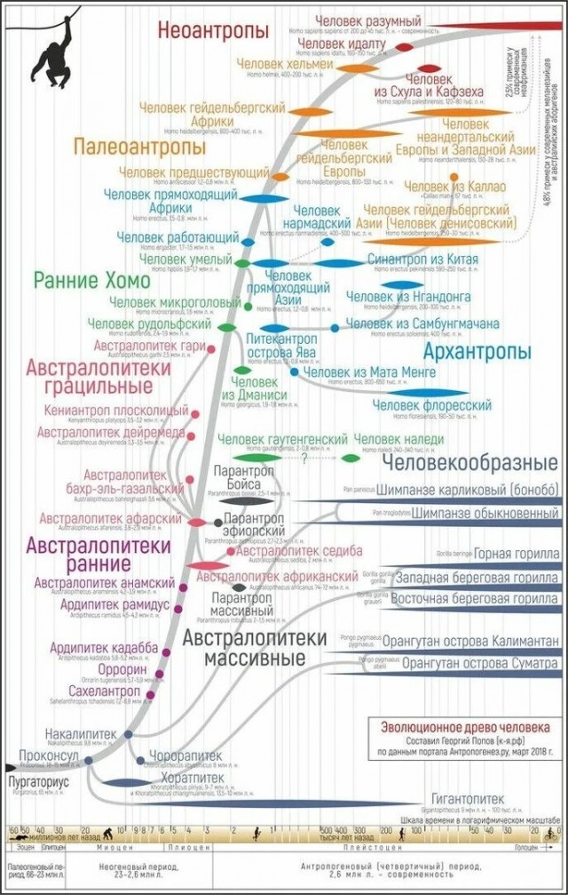 На телеканале «Спас» объяснили, почему теория Дарвина — ошибка.