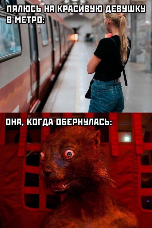 Завалялось тут случайно немного забавных картинок
