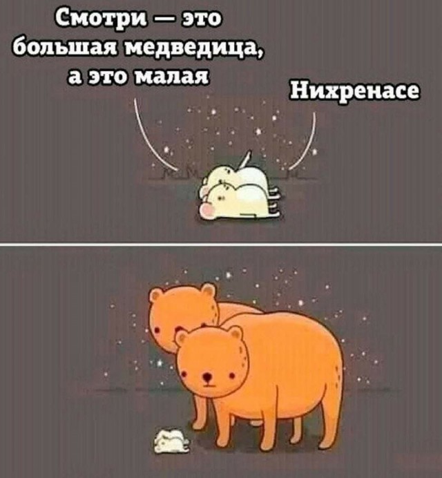 Нуштош 04.10.2024