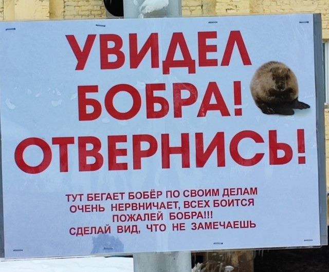 Бобёр арестовал сам себя в Москве. Из заключения его пришлось вызволять спасателям