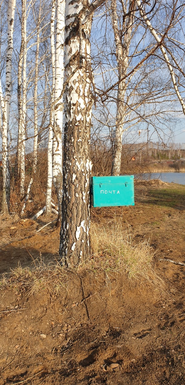 Правительство готовит очередной план спасения «Почты России»