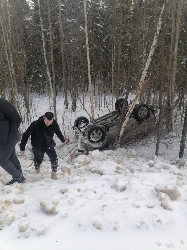 Сказочный нивовод.