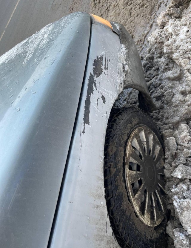 Наглый рогатый