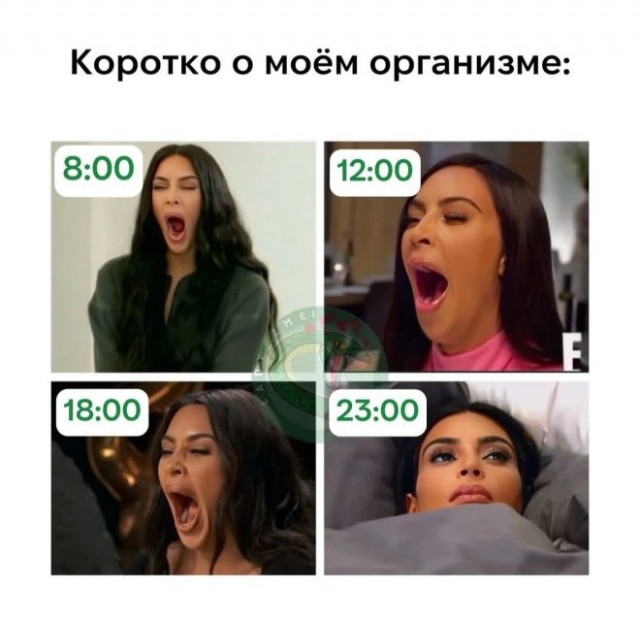 Веселые картинки в понедельник (17.02)