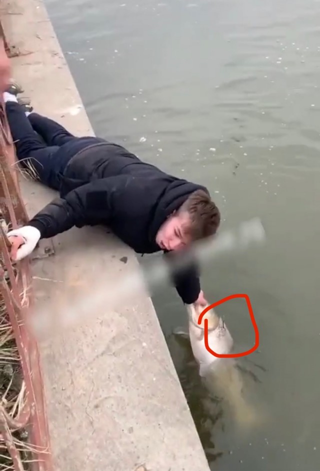Что делать? Ну тогда голыми руками, голыми руками за хвост, ну, за плес по-нашему, хвать!

Как она забилась...