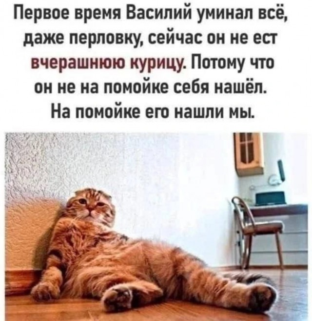 Завалялось тут случайно немного забавных картинок