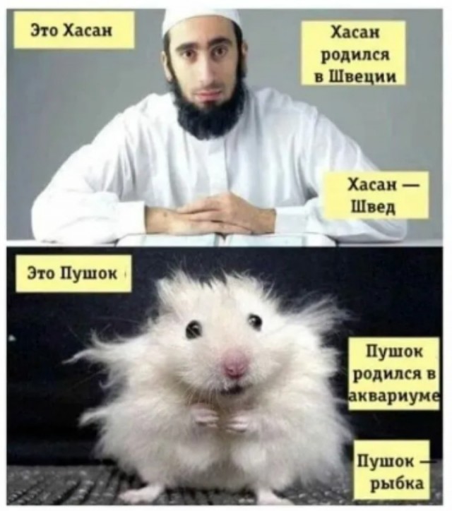 Не так я себе удмурток представлял