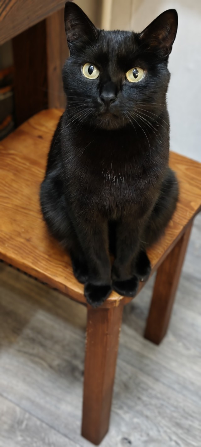 Вот это аппетит