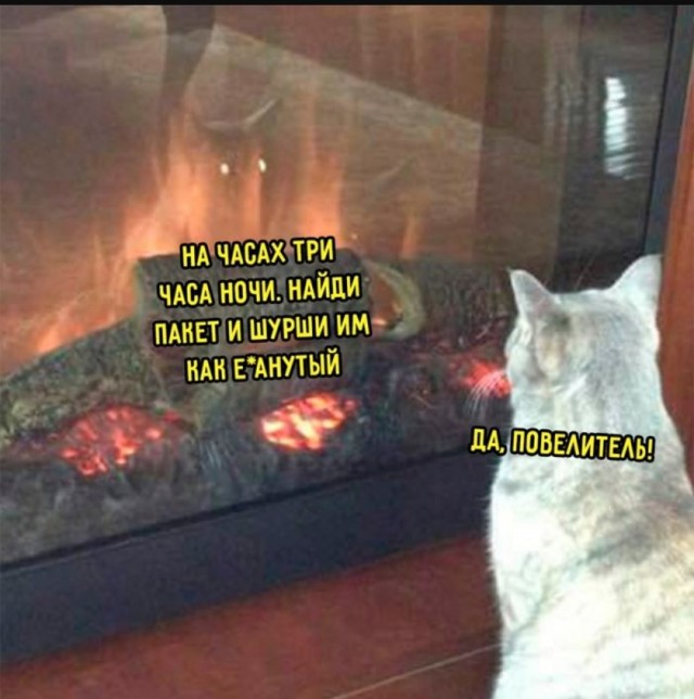 Завалялось тут случайно немного забавных картинок