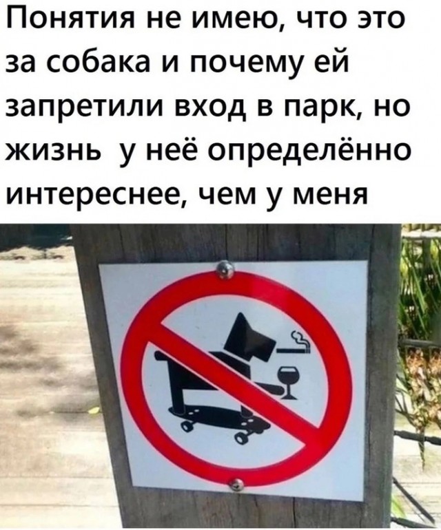 Так себе картинки 07.07.25