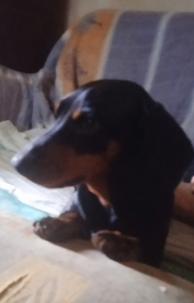 Таксоводы, совет ваш нужен