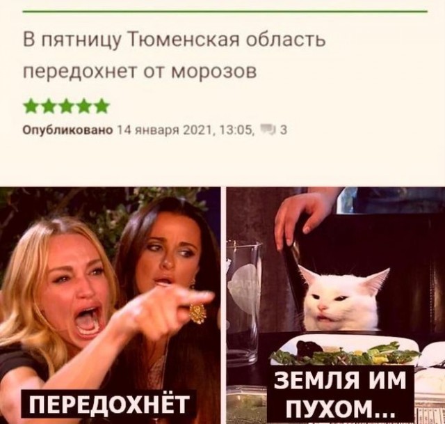 Веселые картинки в пятницу (25.07)
