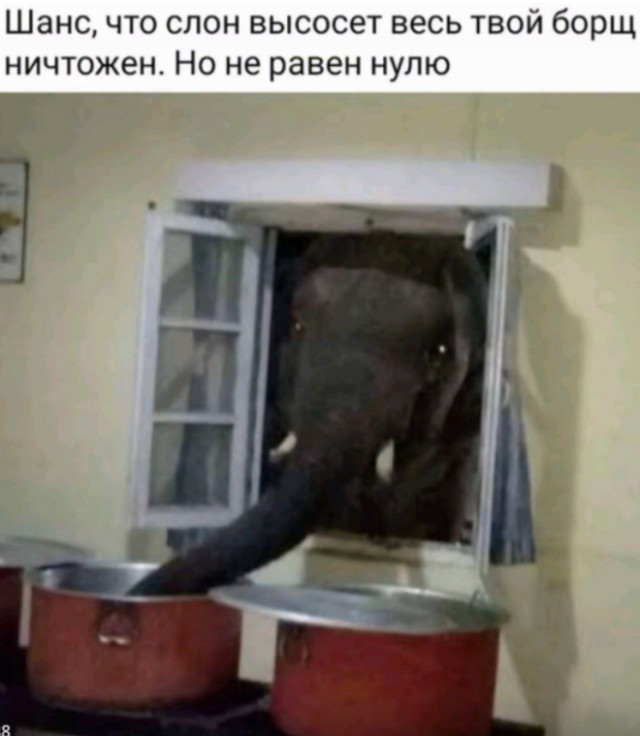 Картинки для деградации 37 (разной степени свежести)
