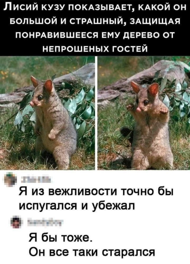 Веселые картинки в маленькую пятницу (10.09)