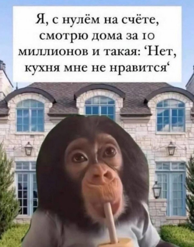 Картинки для деградации 72 (разной степени свежести)