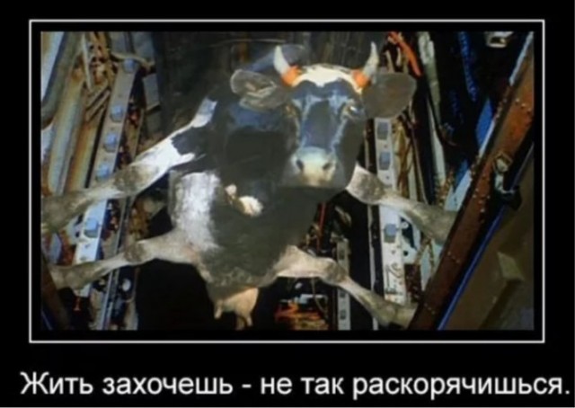 Гляди чего есть