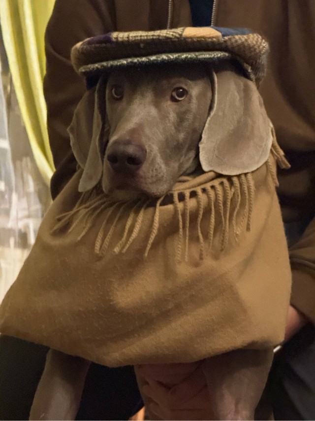 Собакочетверг