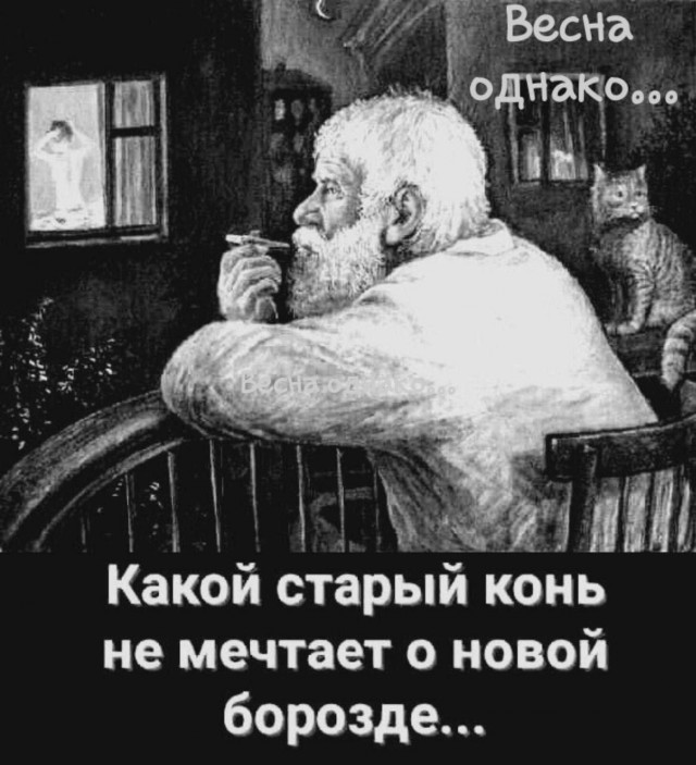 Забавные и не очень скромные картинки - 20