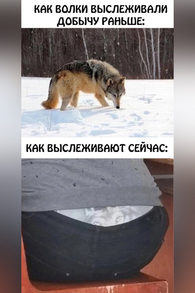 Пятничные картинки