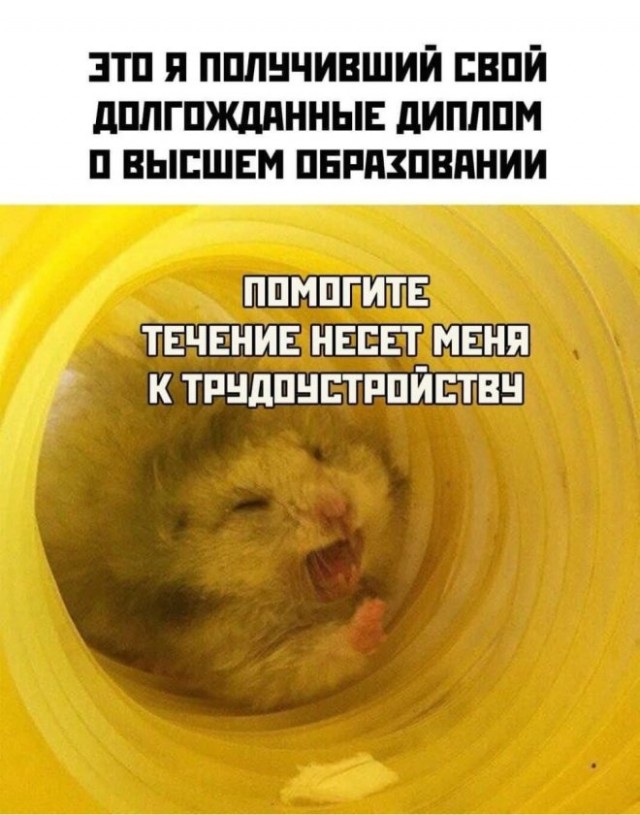 Картиночки, баянчики 11 февраля