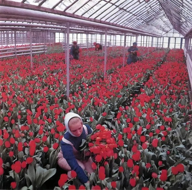 Редкие кадры и архивные снимки 22.04.26