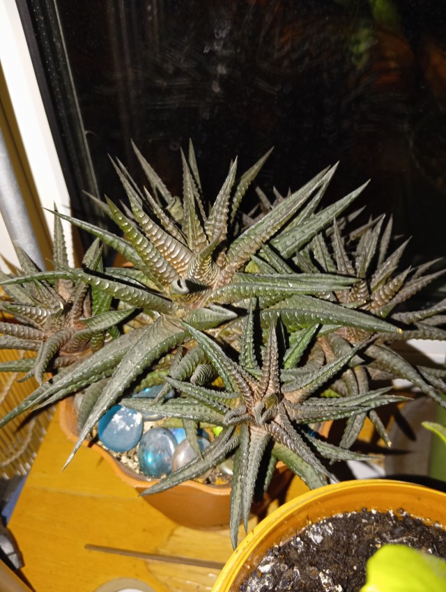 Поздравляю всех причастных с праздником!