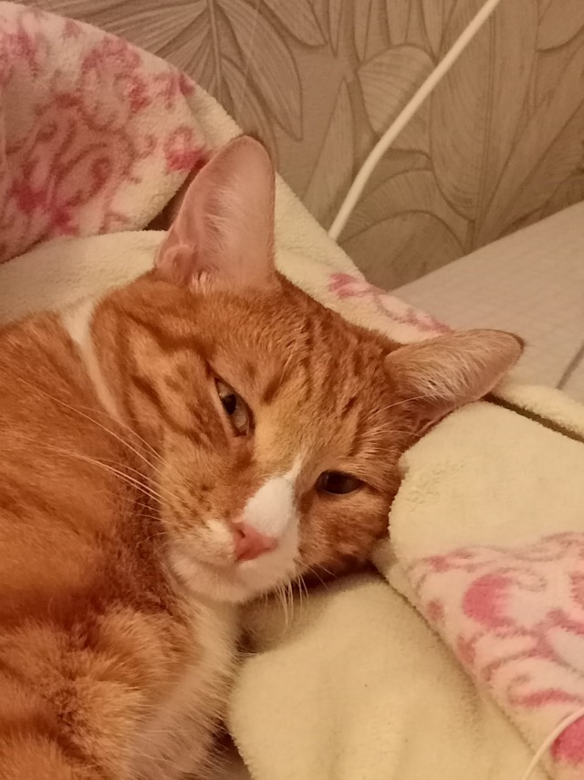 Без паспорта, без имени, погремуха «Ржавый»