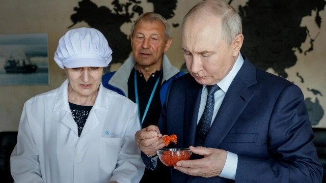 В России потребление рыбы в 2025 году снизилось до 22 кг на человека