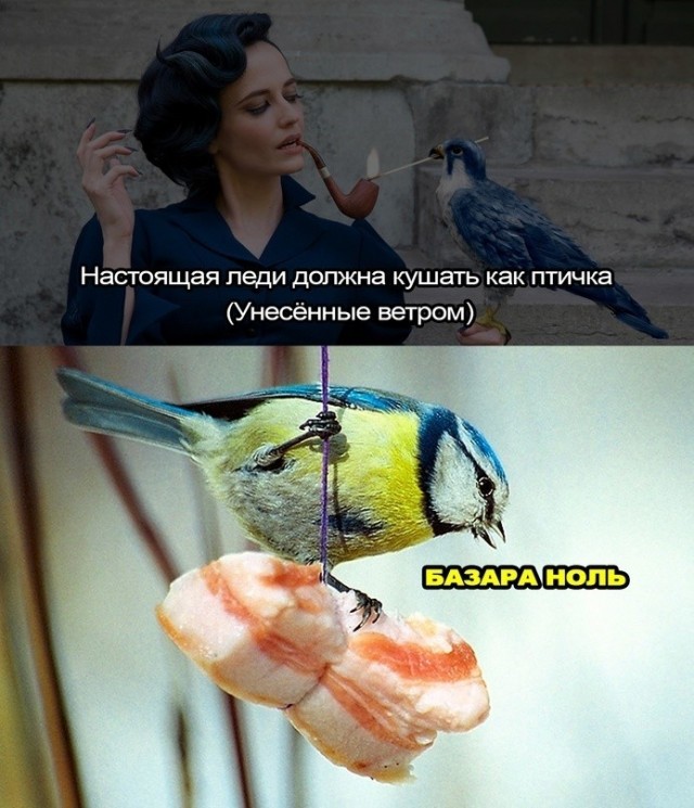 Картинки для деградации 283 (разной степени свежести)