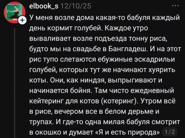 Картинки на среду