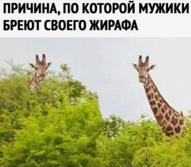 «Как сказать?»